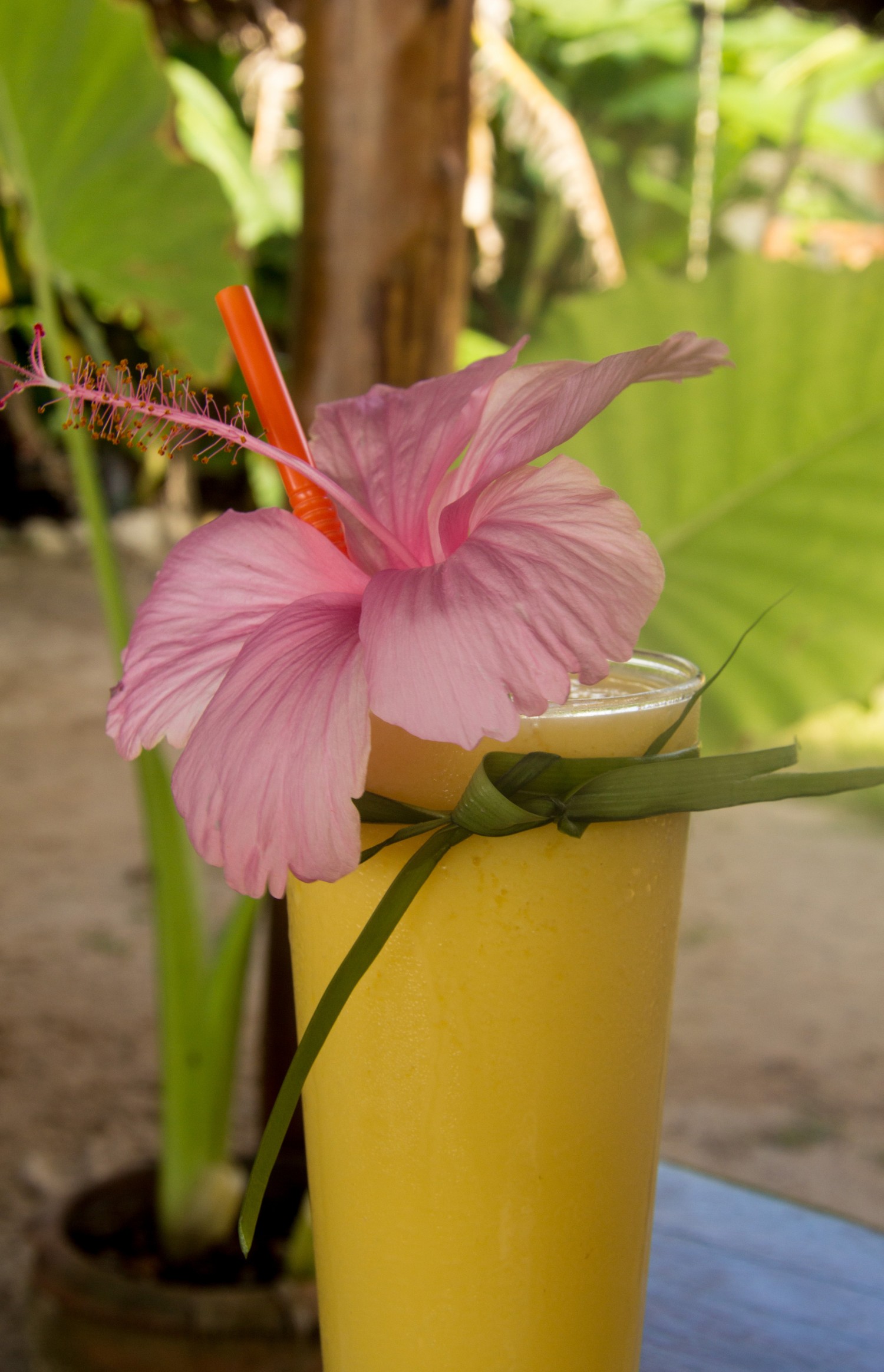 Ko Lanta, mango lassi