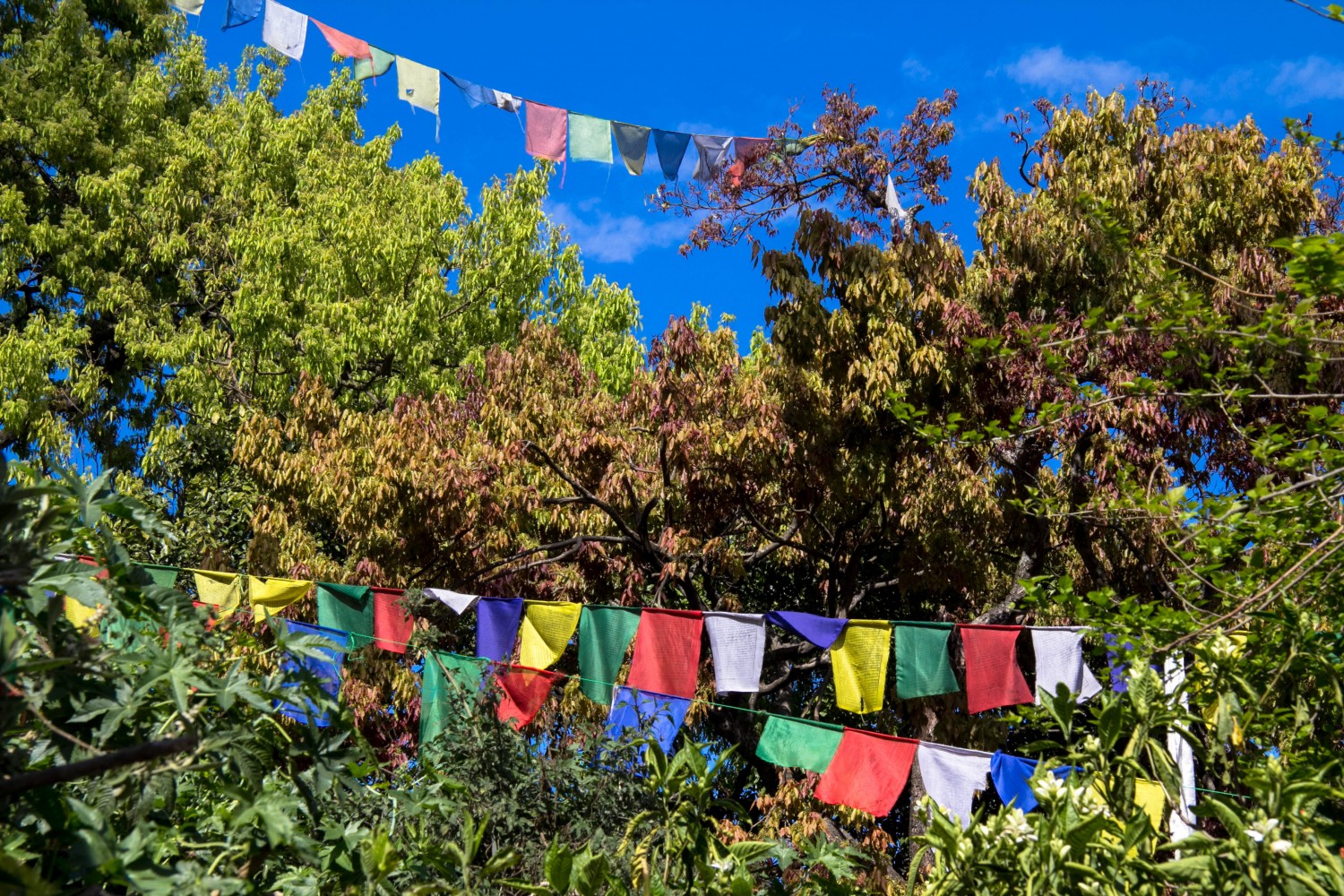 Nepal Swayambunath (59 of 64)