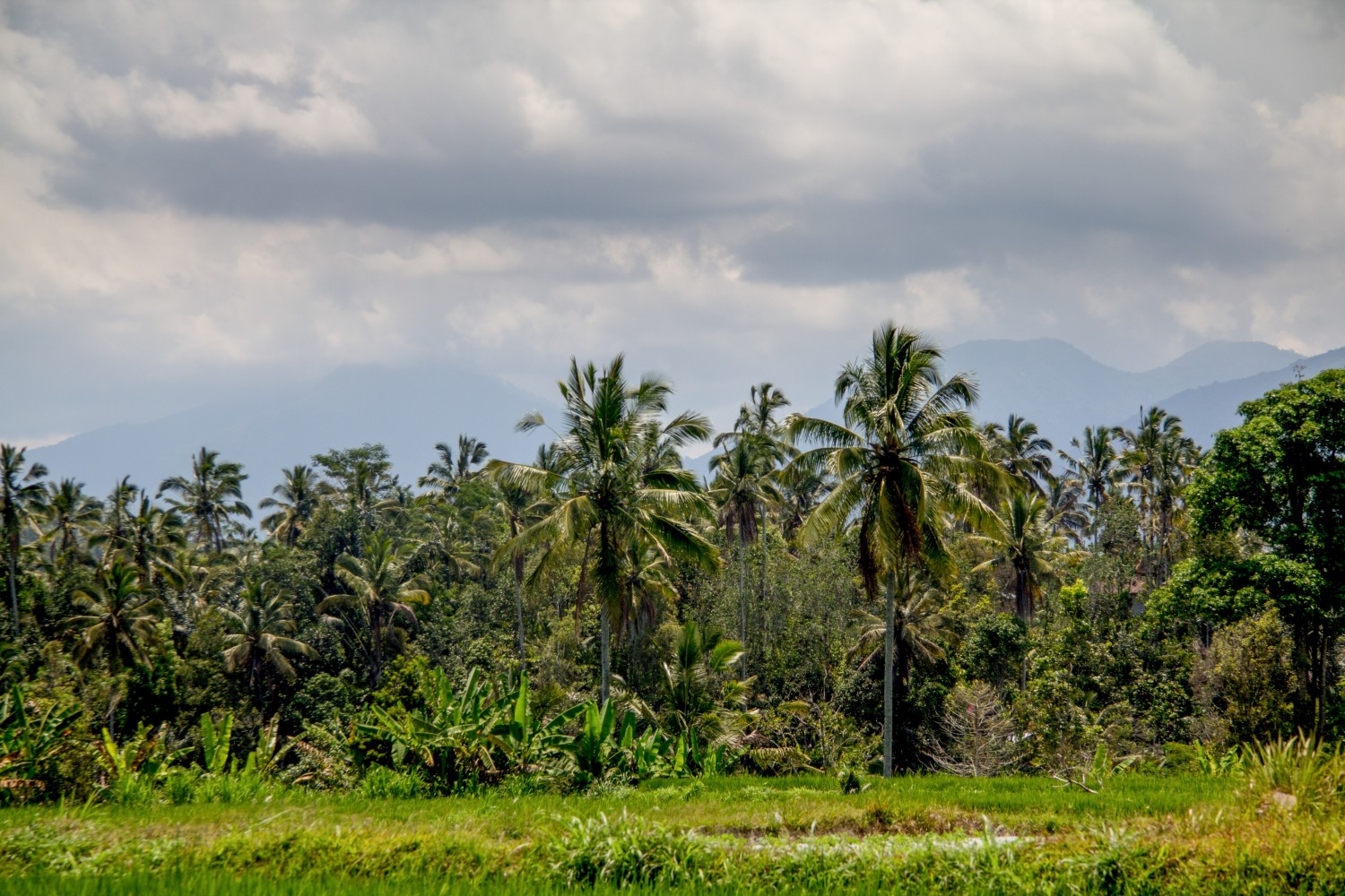 Bali (25)