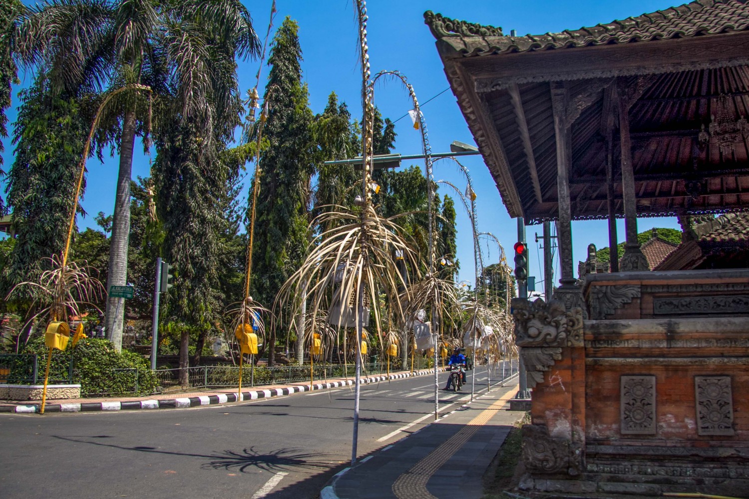 Bali Ubud (12)