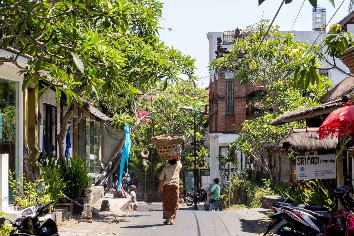 Bali Ubud (5)