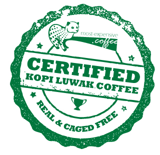 big_certificate_kopiluwak