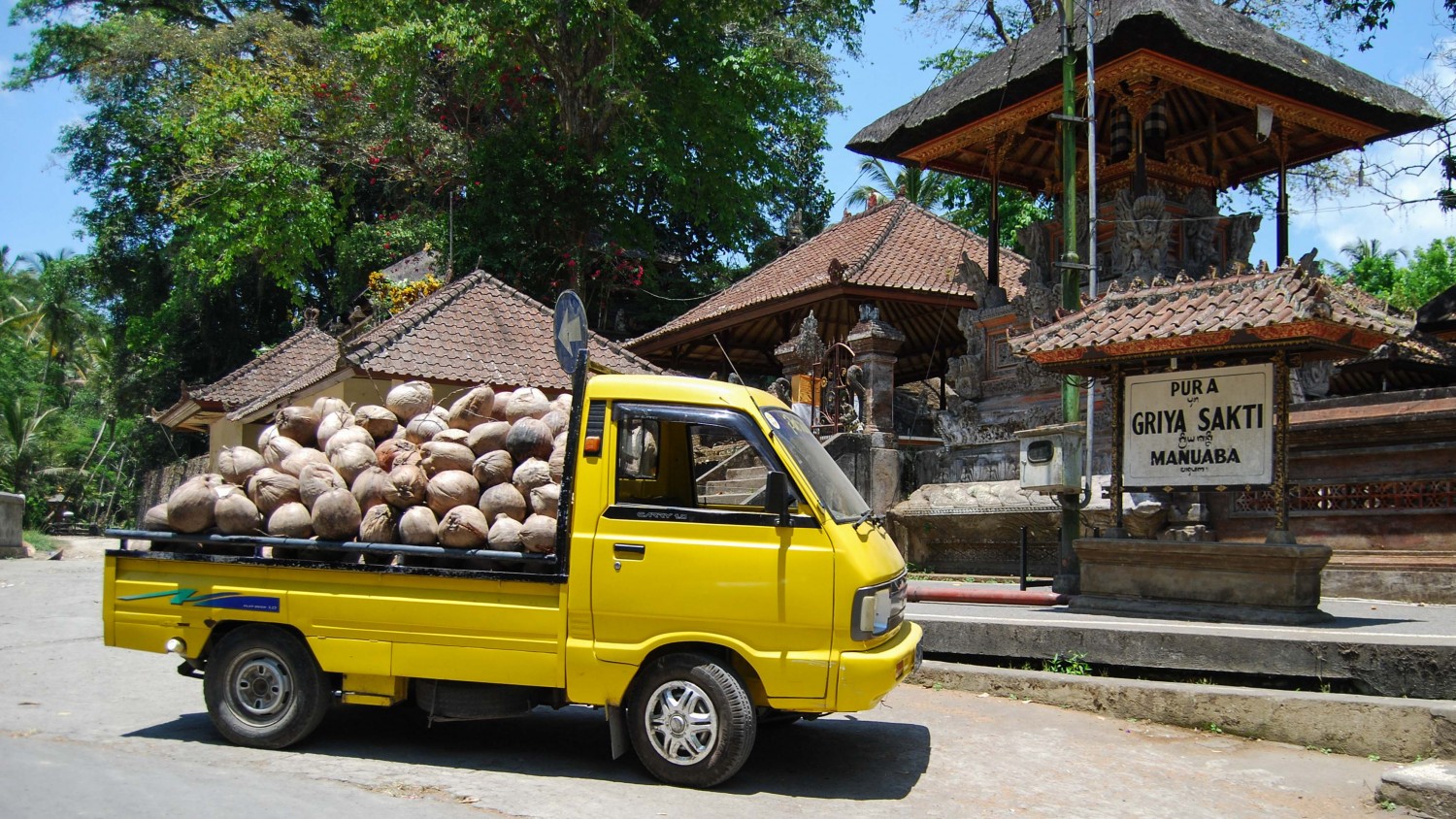 coconuts Bali