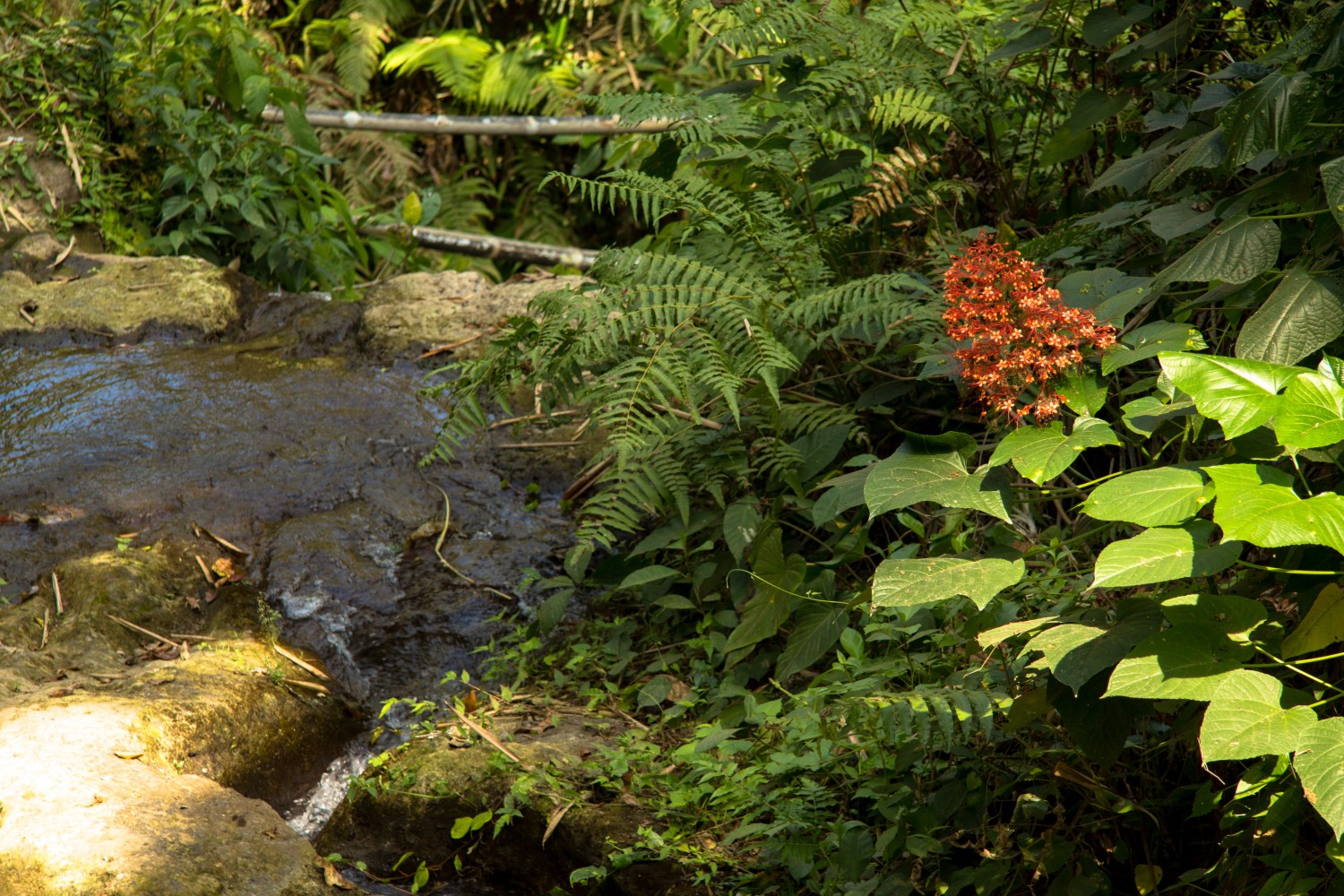 goa gajah bali (16)