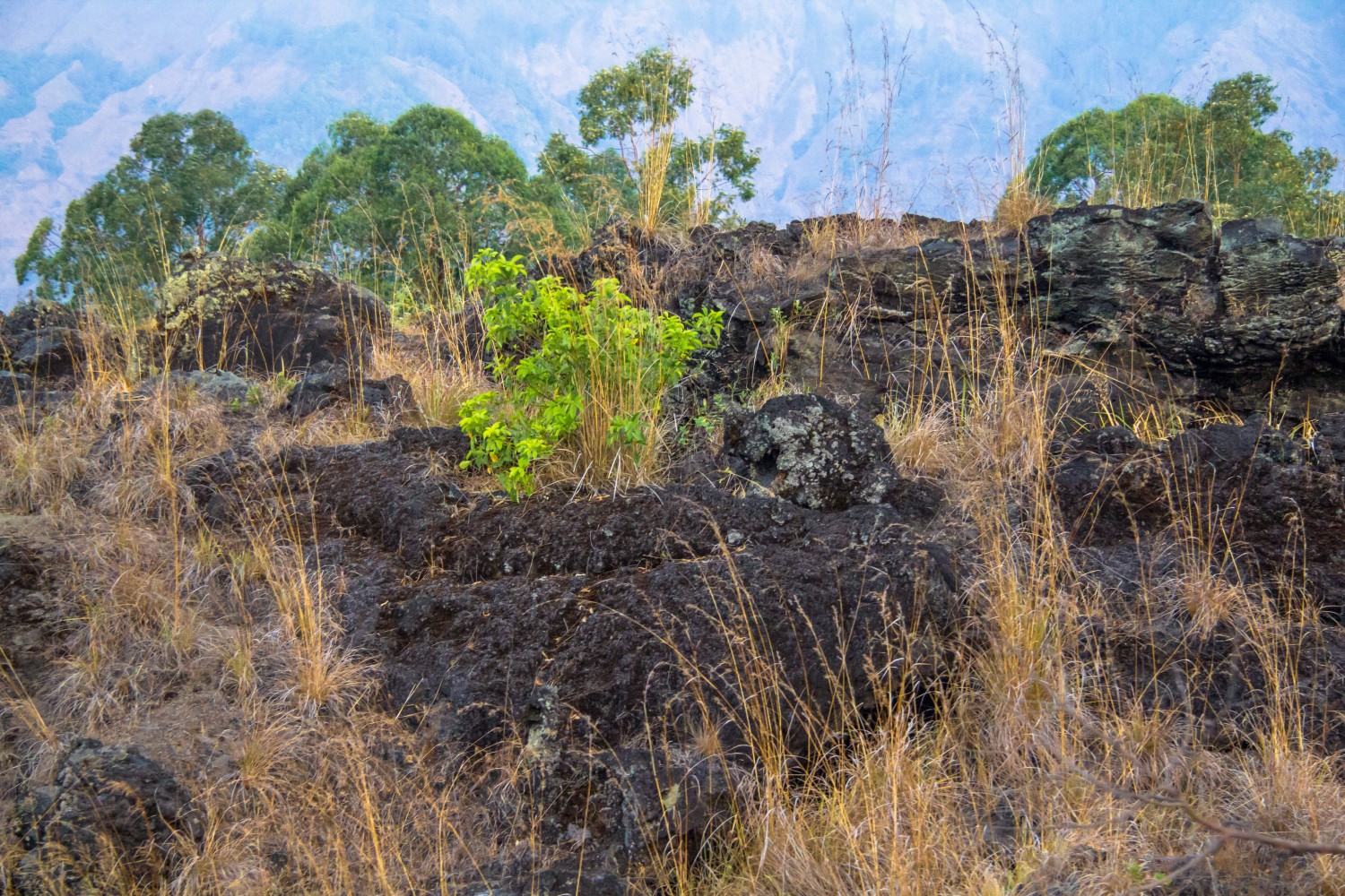 Gunung Agung Bali (7)