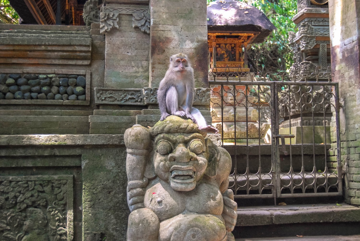 Monkey Forest Temple (6)