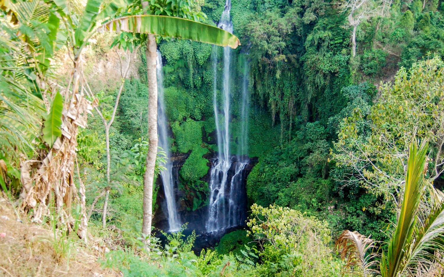 Sekumpul Waterfalls (1)