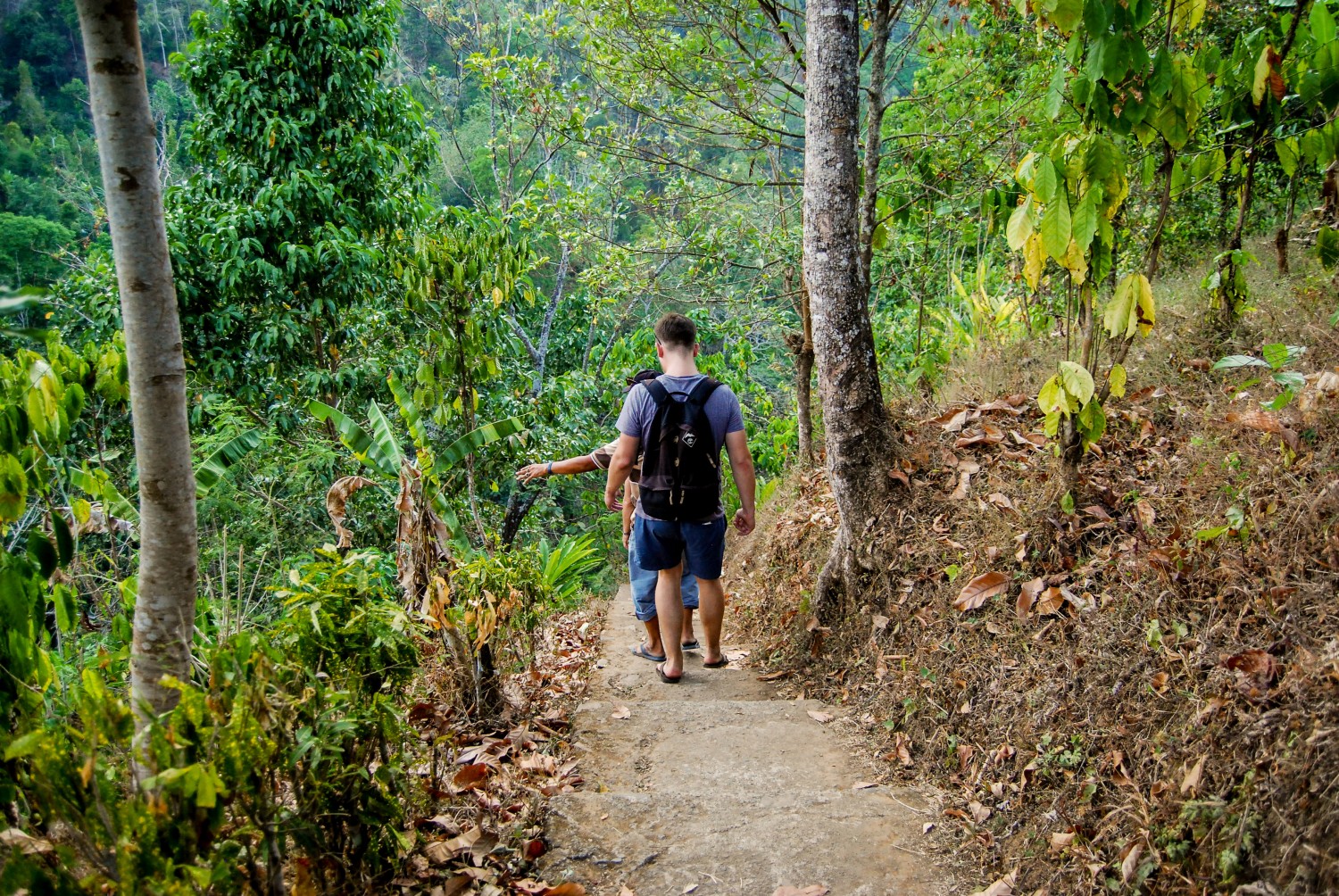 Sekumpul Waterfalls (2)