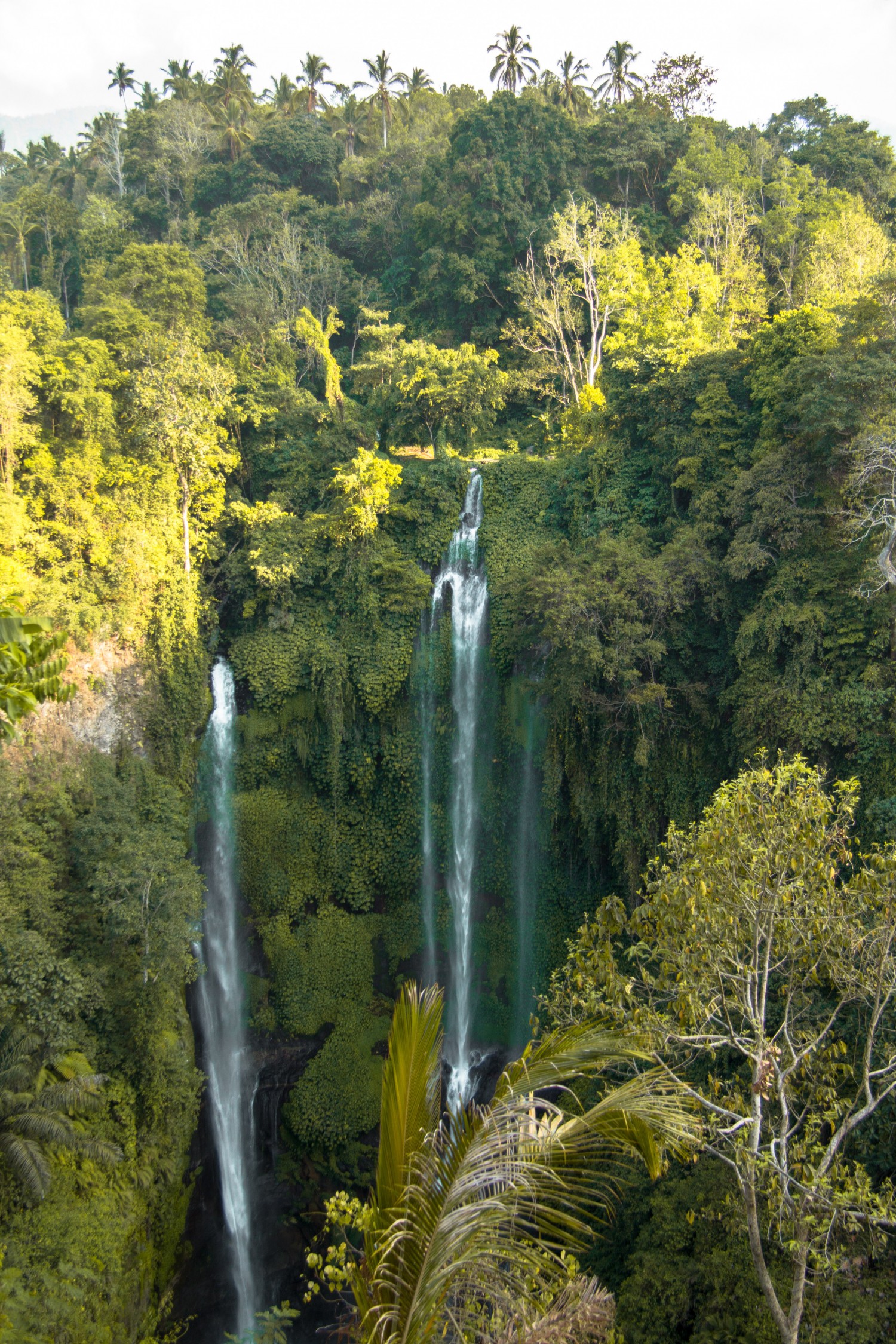 Sekumpul Waterfalls (7)