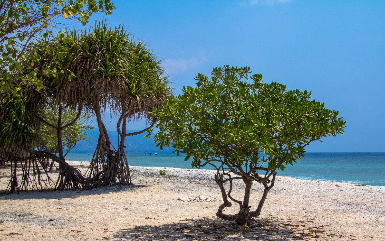 Gili Meno beach (10)