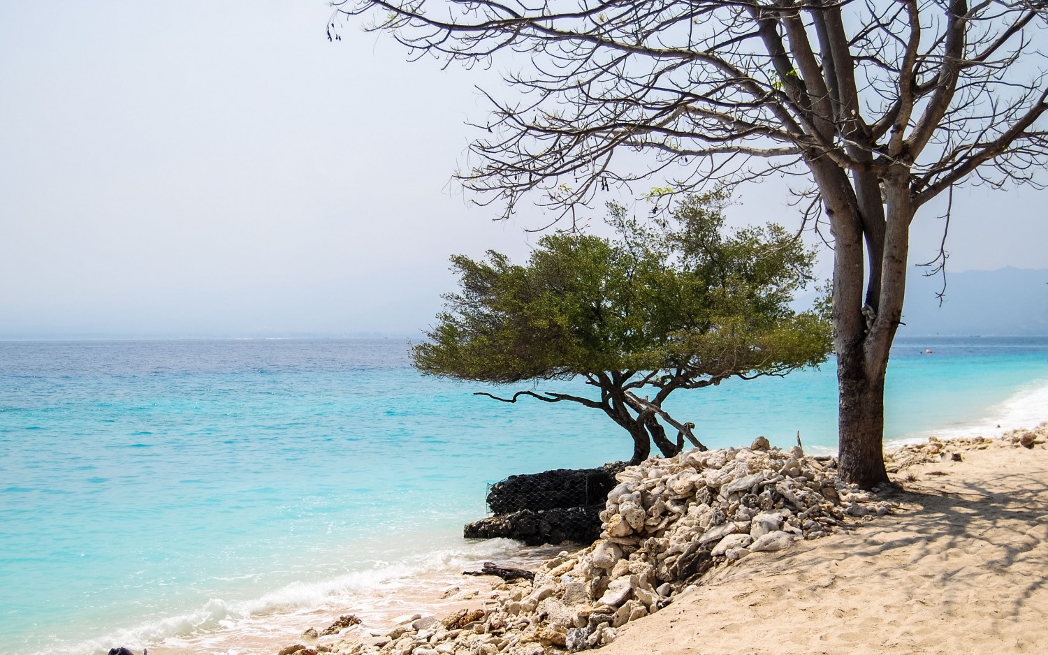 Gili Meno beach (14)