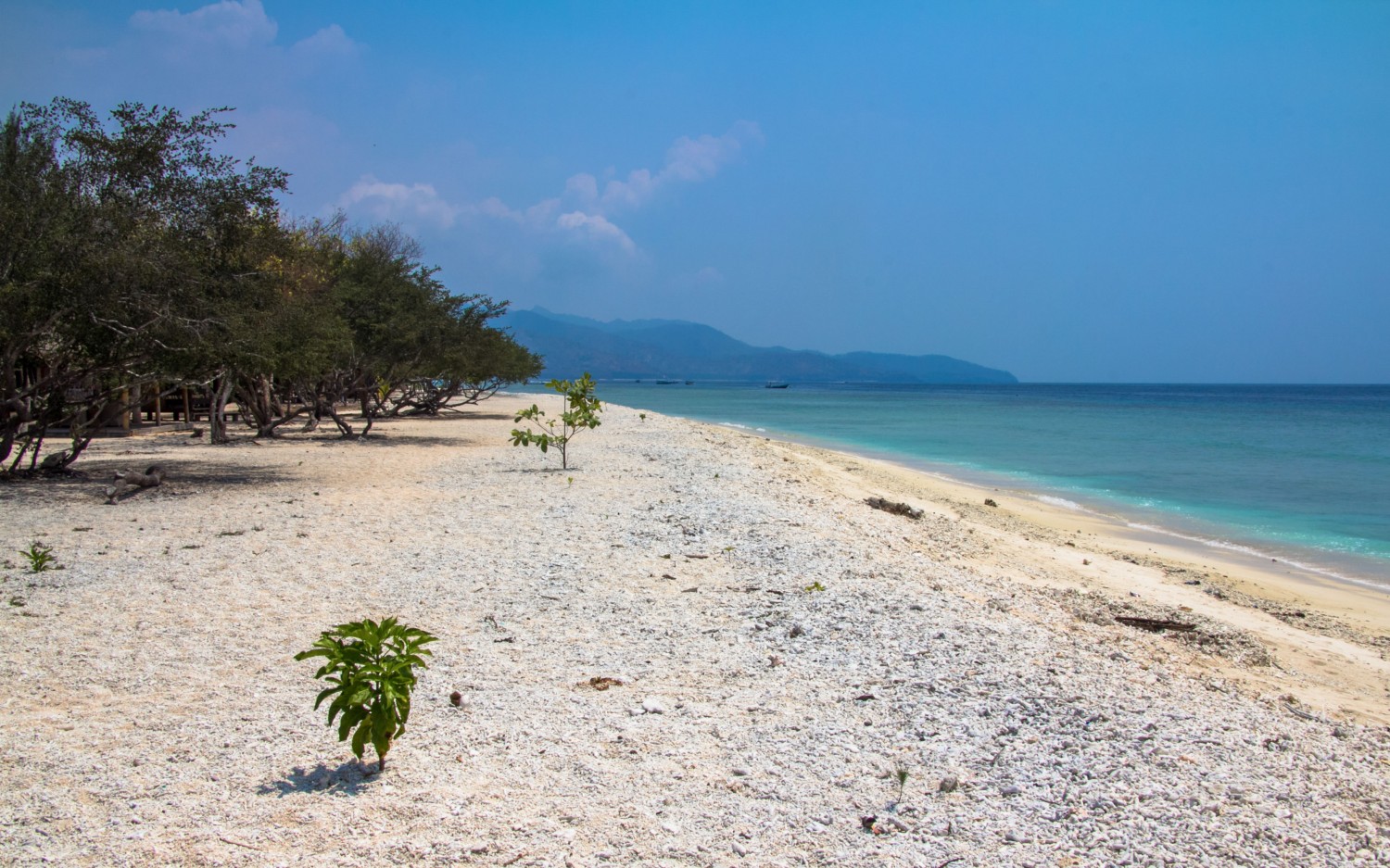 Gili Meno beach (9)