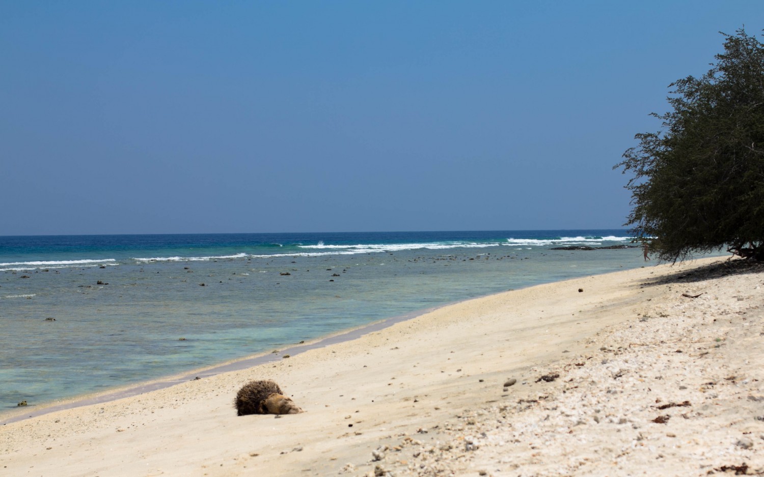 Gili Trawangan beach (6)