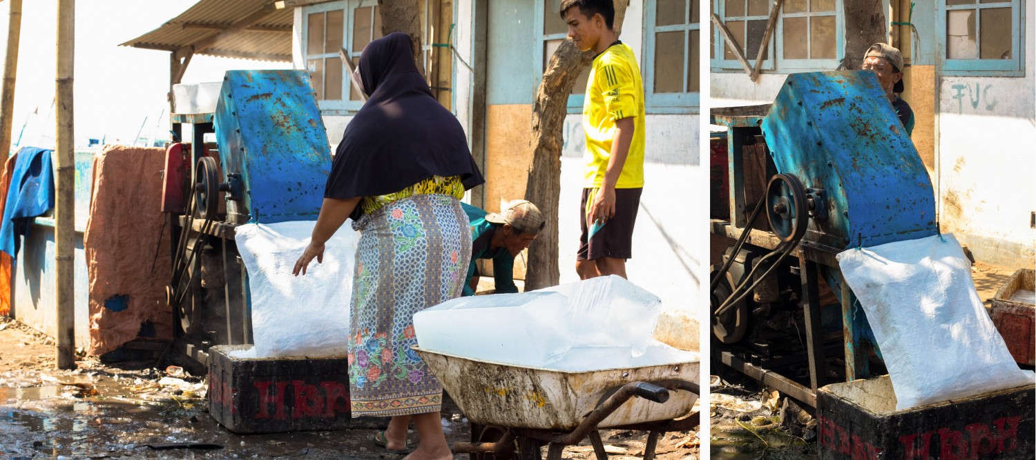 Lombok fish market (12)