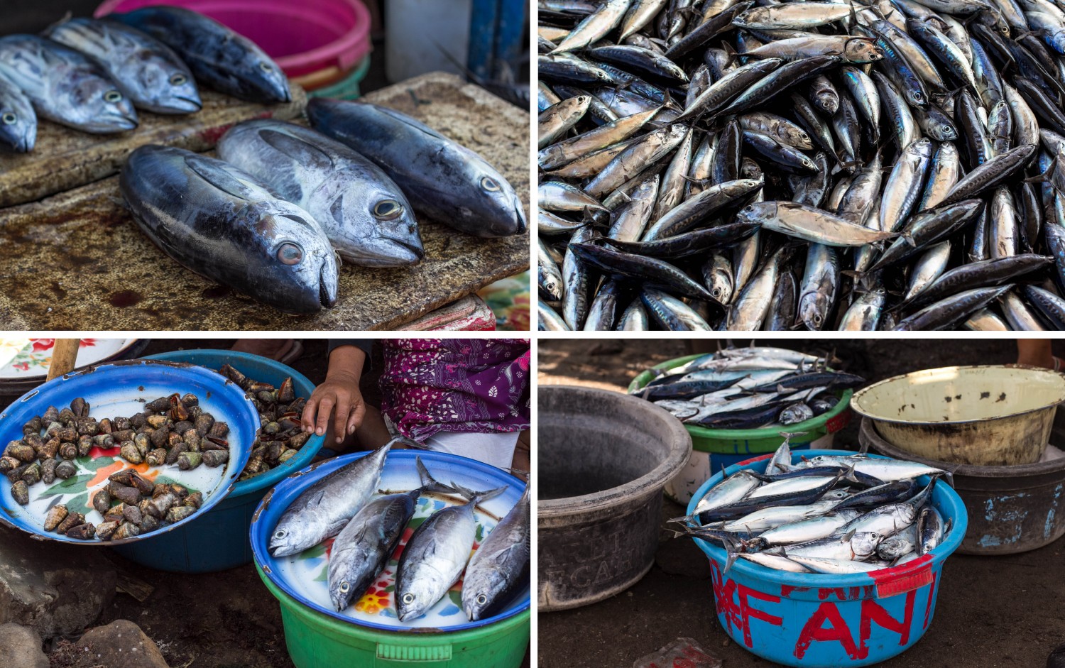 Lombok fish market (3)