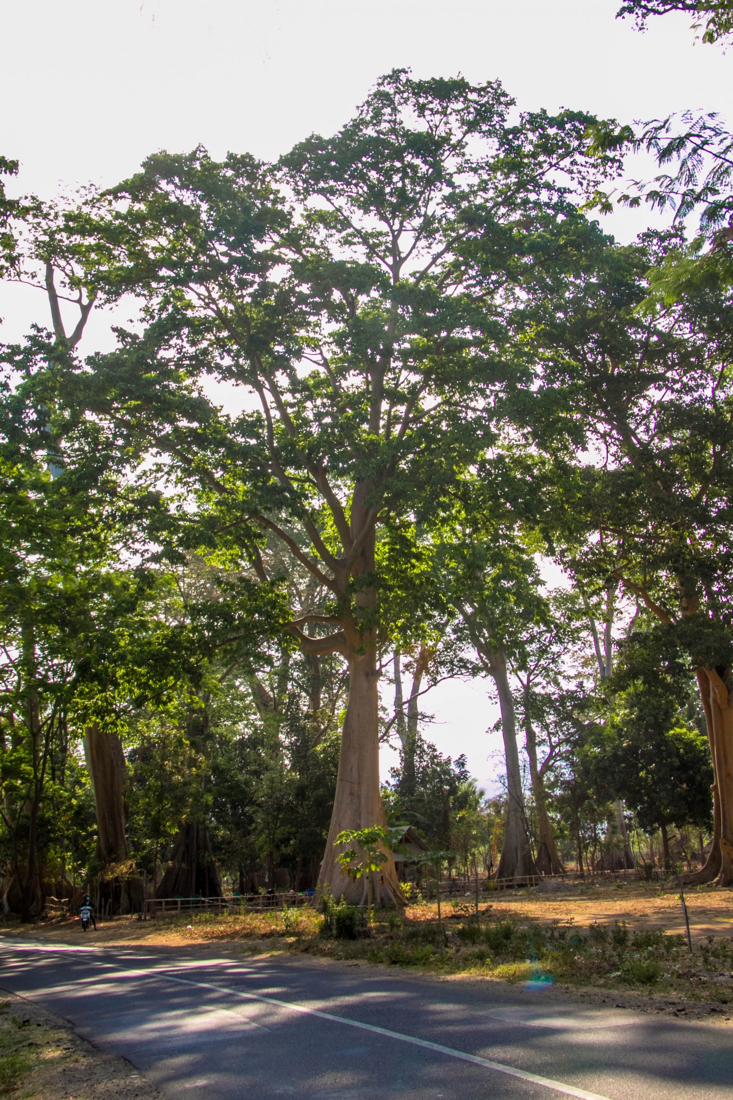 Lomok island Indonesia (25)