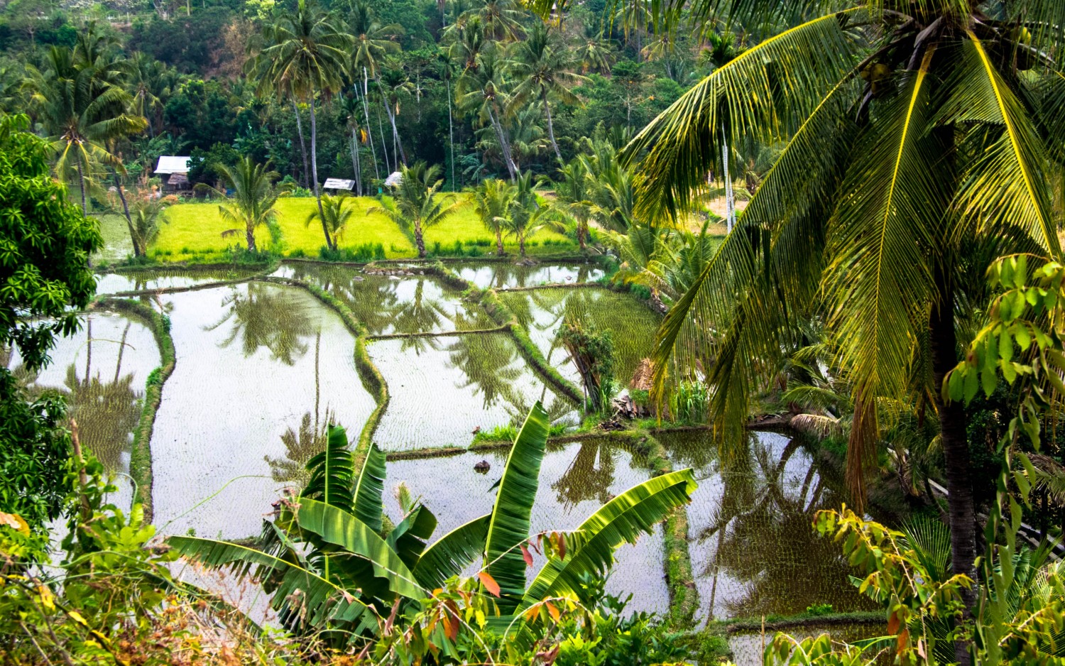 Lomok island Indonesia (33)