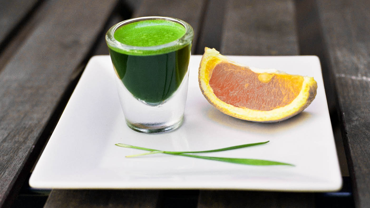 Wheat_grass_shot