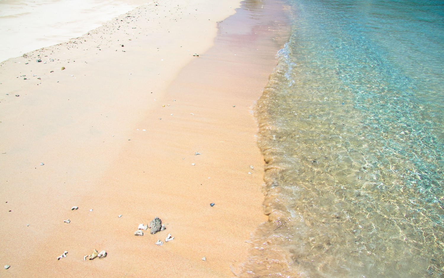 Lombok pink beach plaża (1)