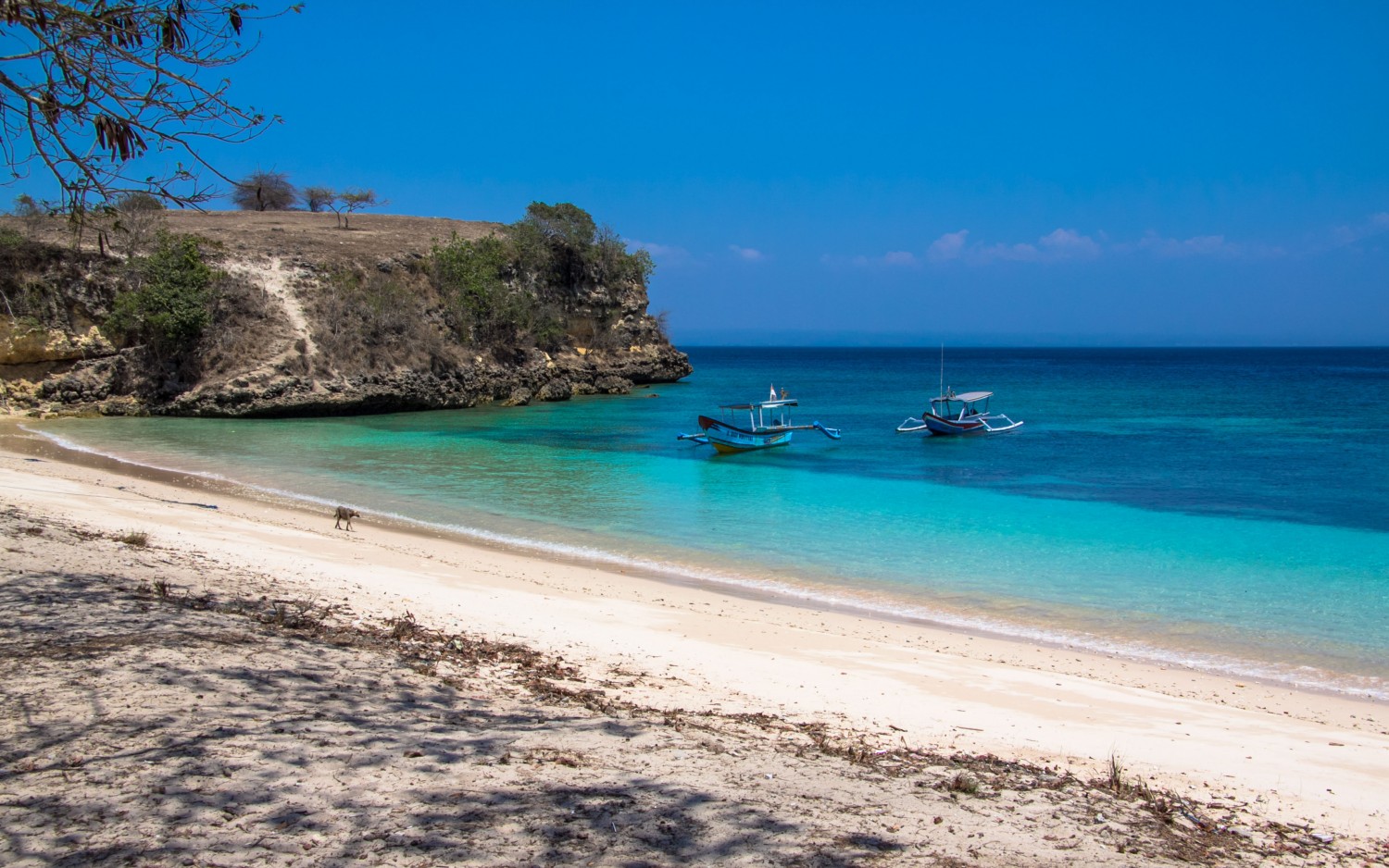 Lombok pink beach plaża (3)