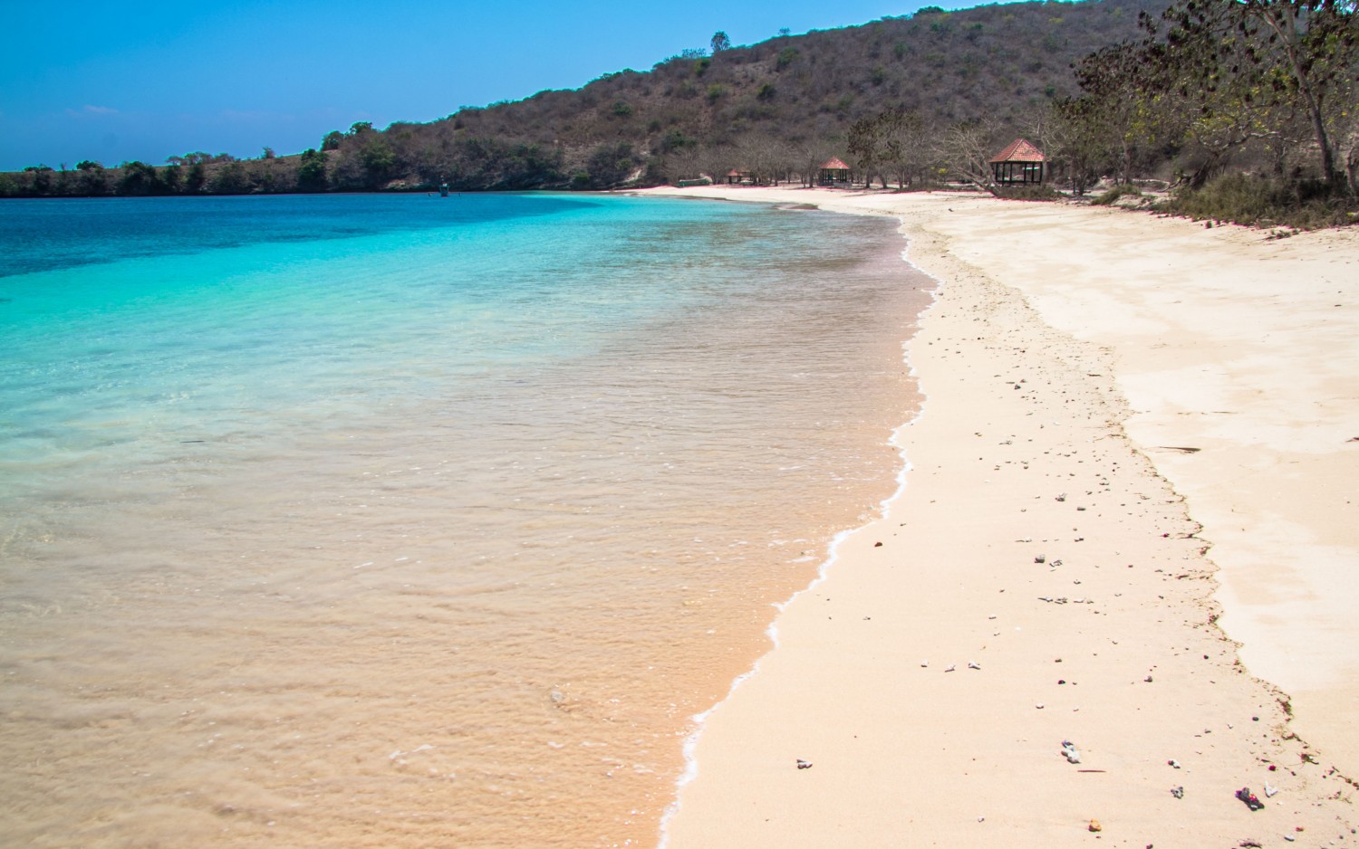 Lombok pink beach plaża (7)