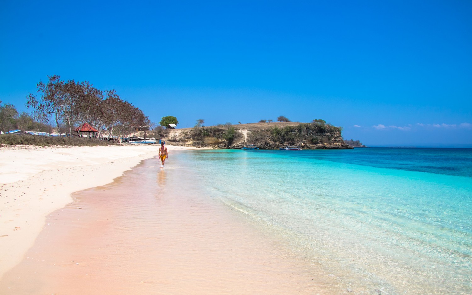 Lombok pink beach plaża (8)