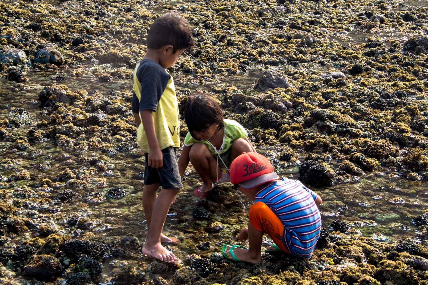 Lombok Indonesia-22