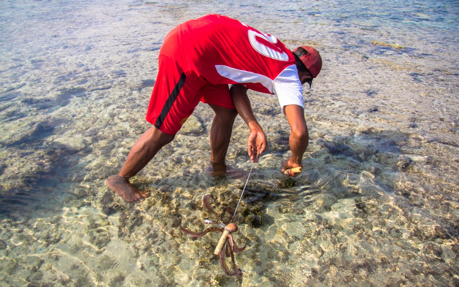 Lombok Indonesia-3