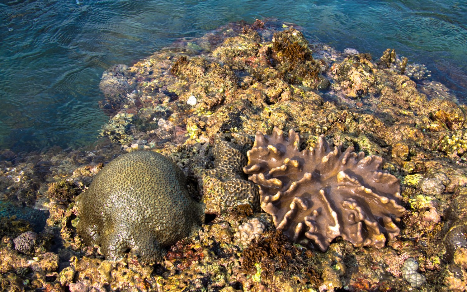 Lombok Indonesia-34