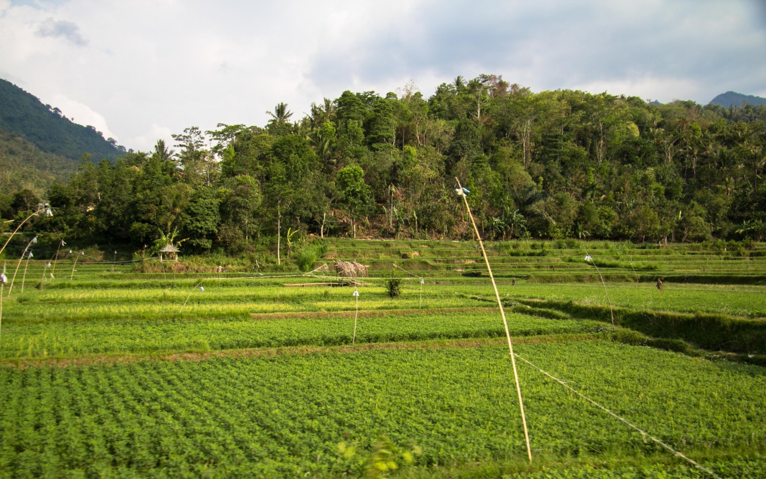 Senaru Lombok Indonesia (1)