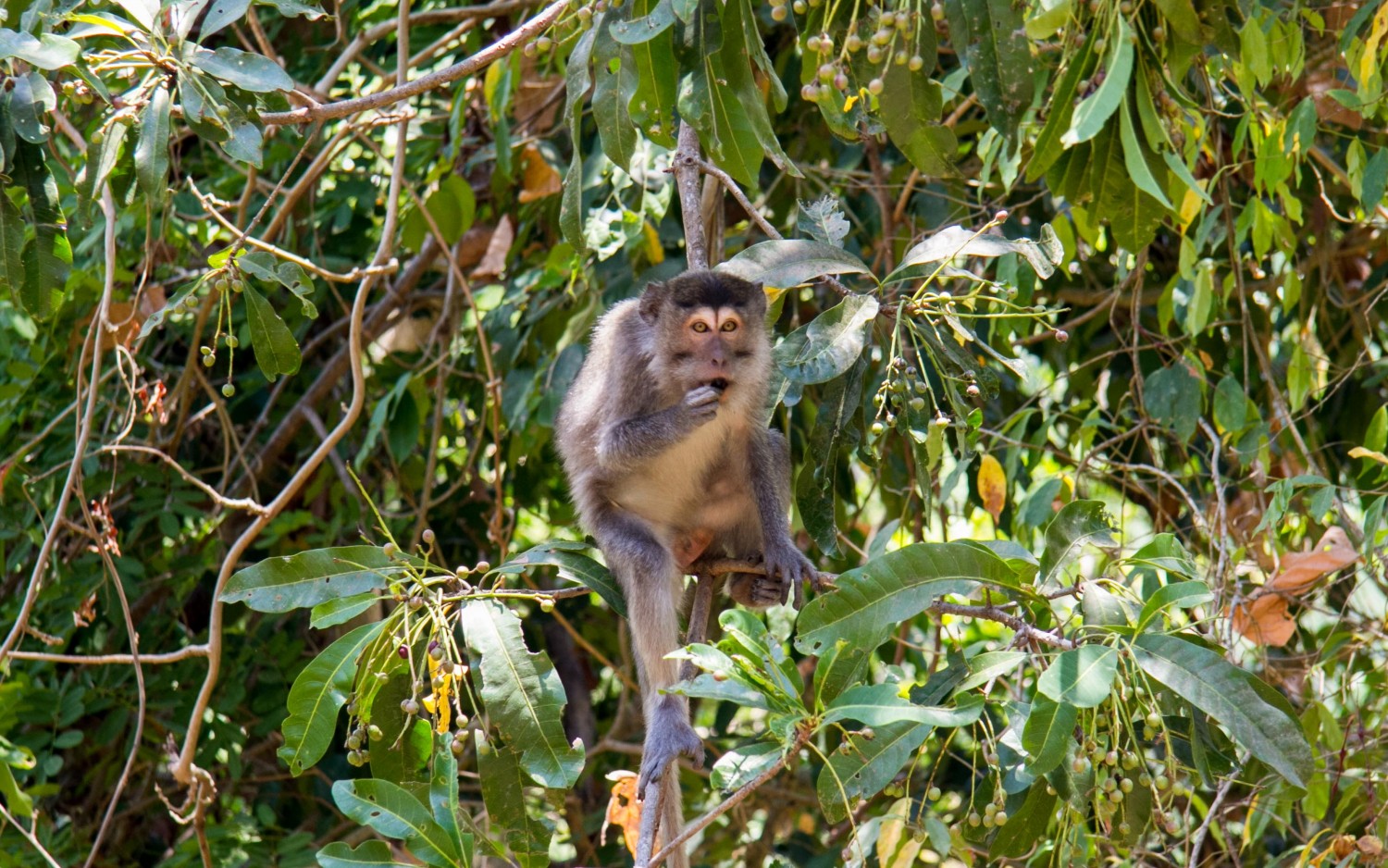 Senaru Lombok Indonesia (20)