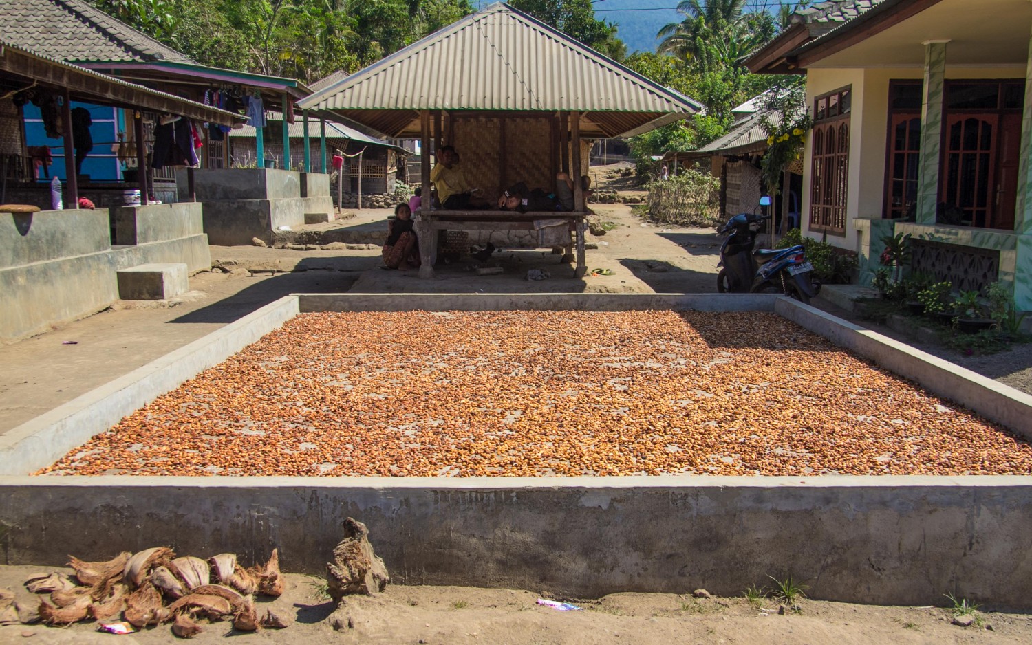 Senaru Lombok Indonesia (29)