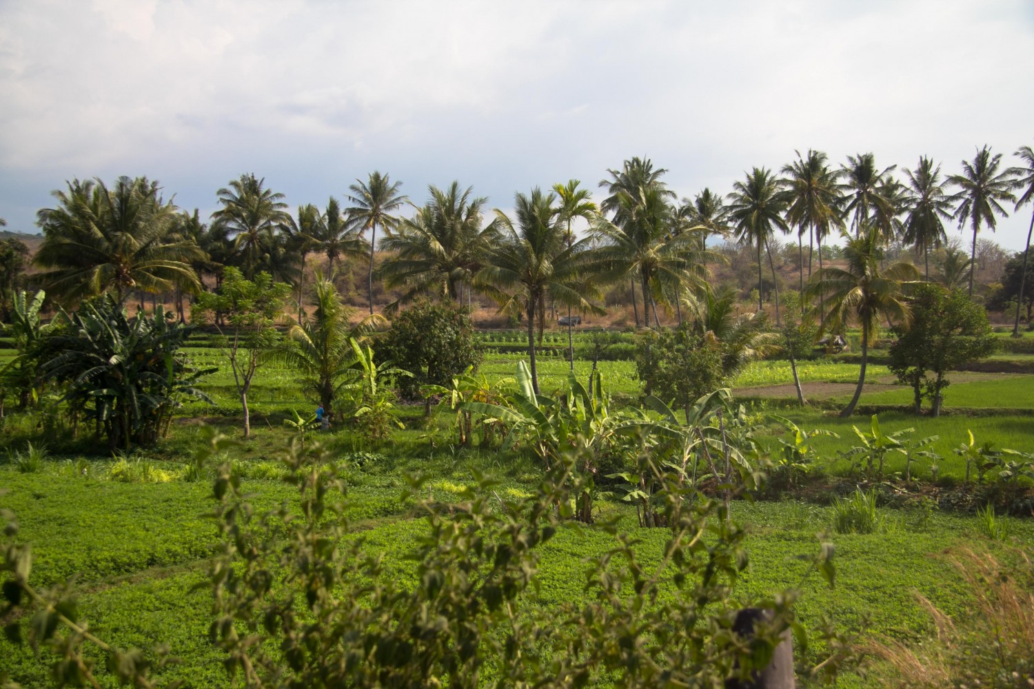 Senaru Lombok Indonesia (30)