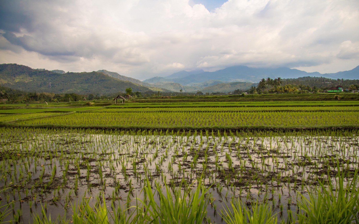 Senaru Lombok Indonesia (33)