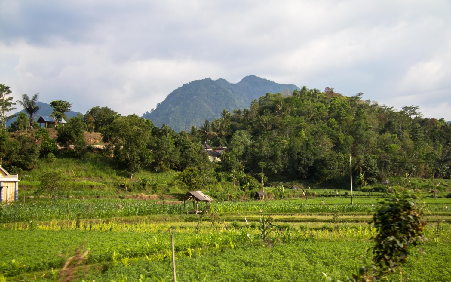 Senaru Lombok Indonesia (34)