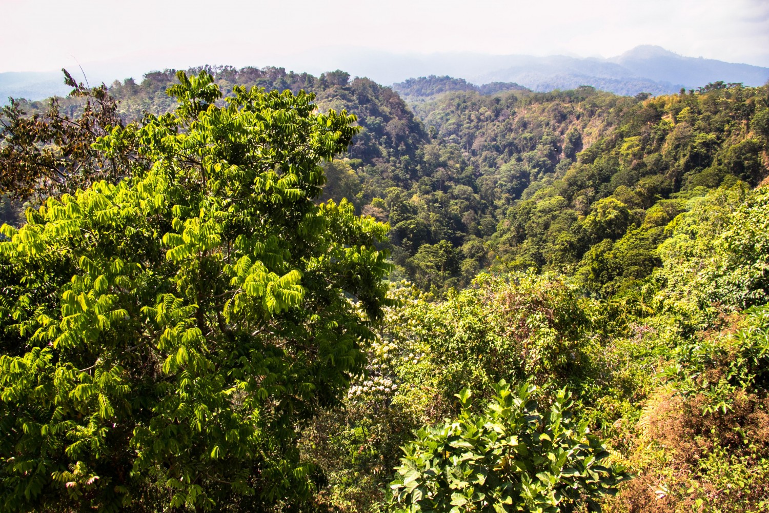 Senaru Lombok Indonesia (7)