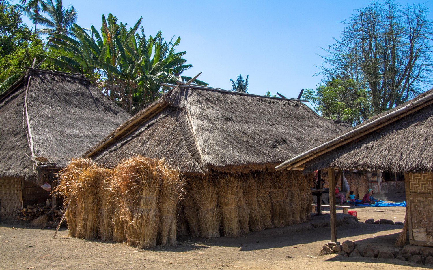 Senaru Village Lombok (4)