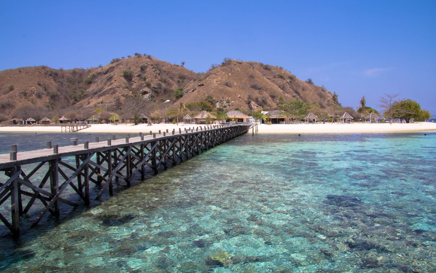 Labuan Bajo Kanawa Island (3)