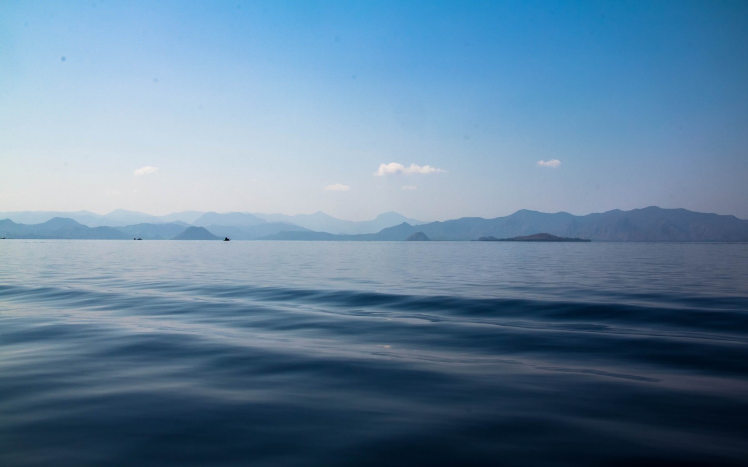 Labuan Bajo snorkeling (4)