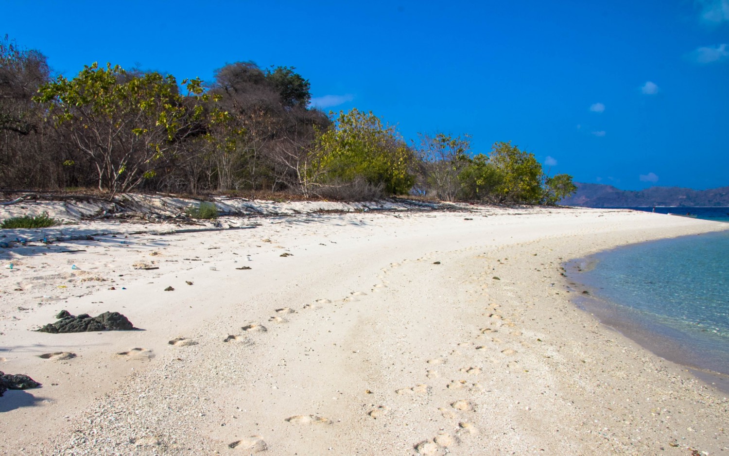 Labuan Bajo snorkeling Angel Island (2)