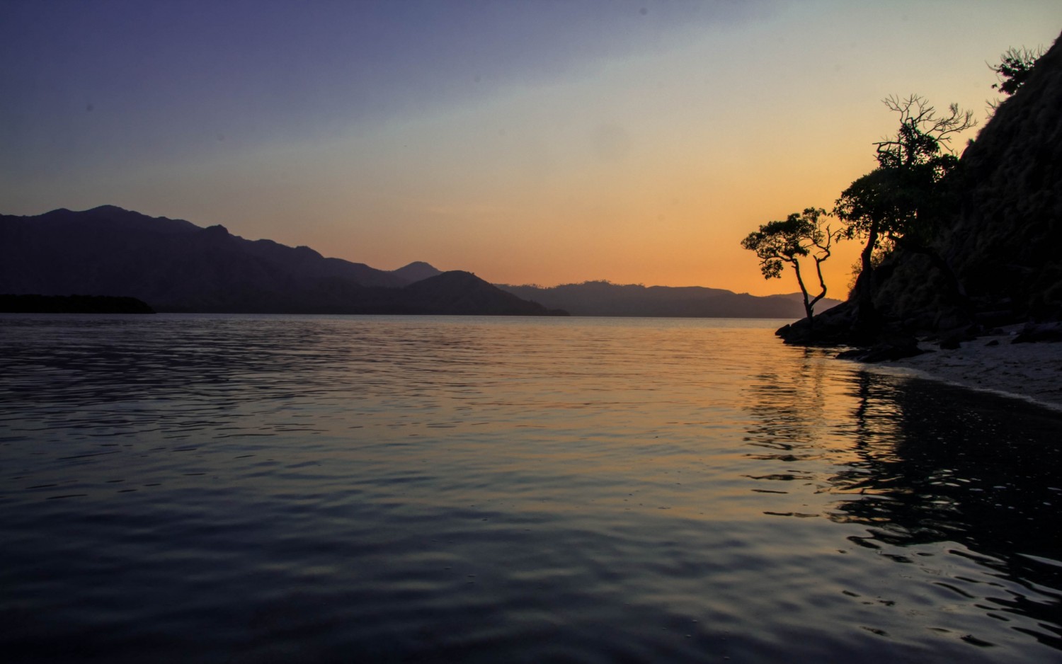 nietoperze Indonezja Kalong Island