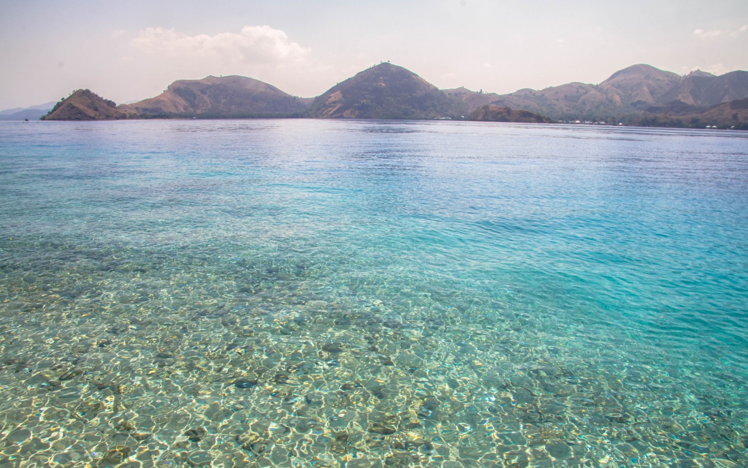 Snorkeling Indonesia (3)