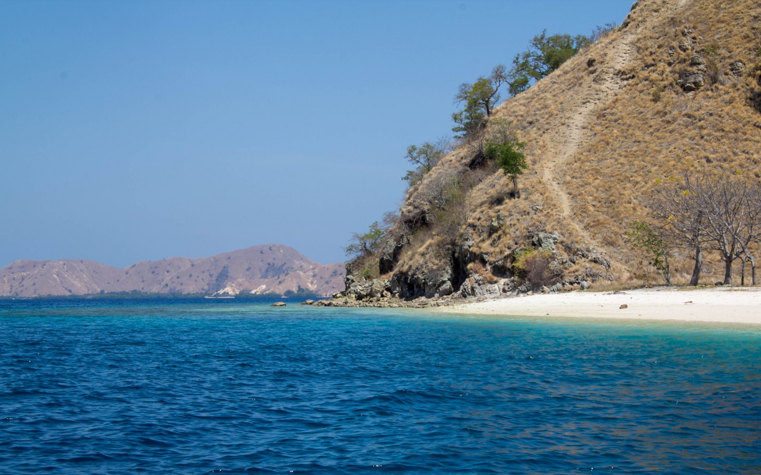 Snorkeling Indonesia (4)