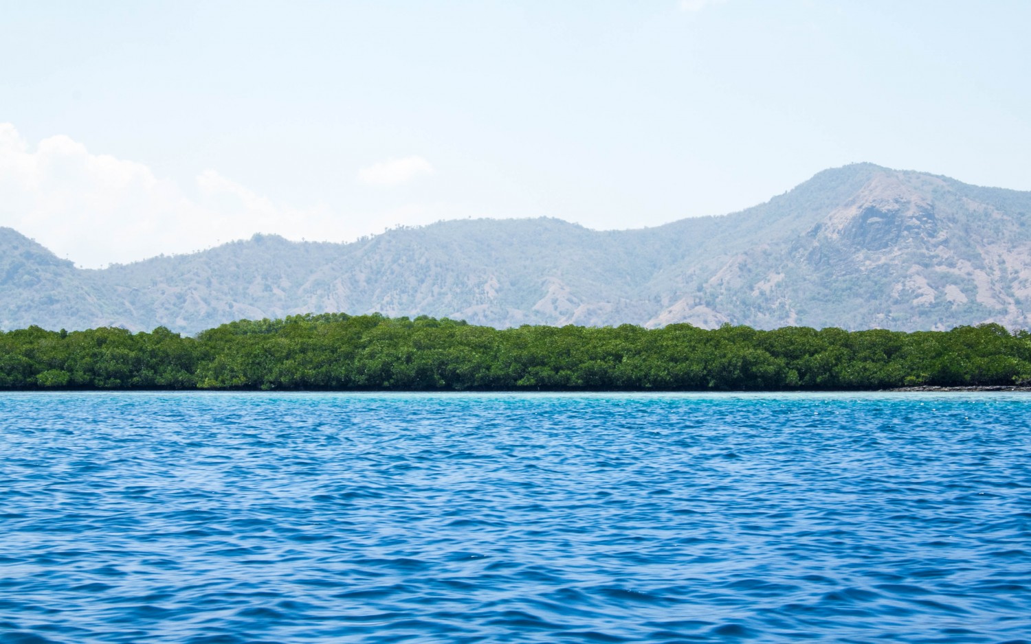 Snorkeling Indonesia (6)