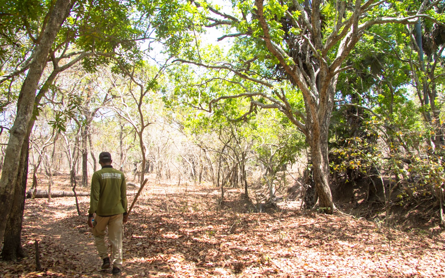 Trekking Komodo Rinca (1)