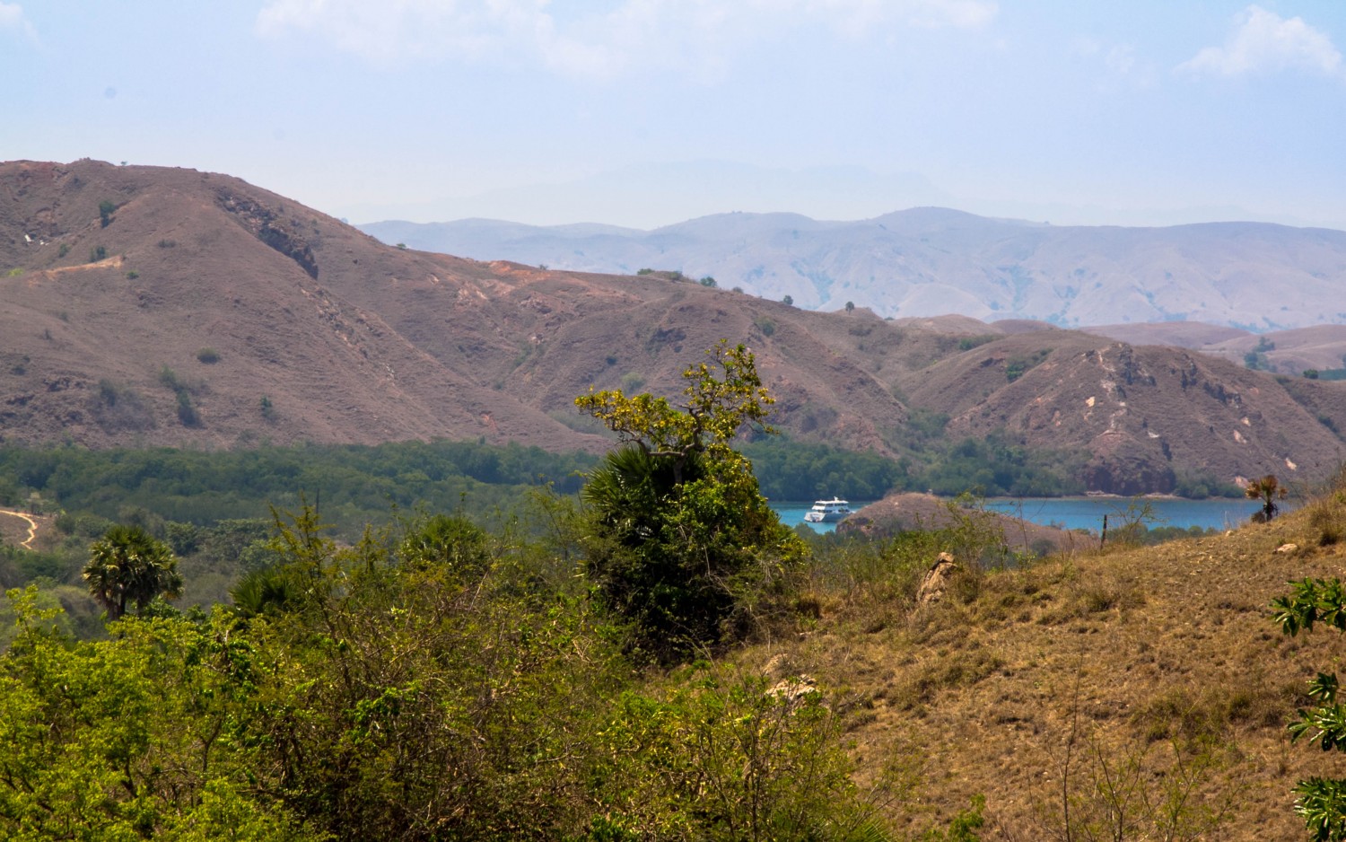 Trekking Komodo Rinca (11)