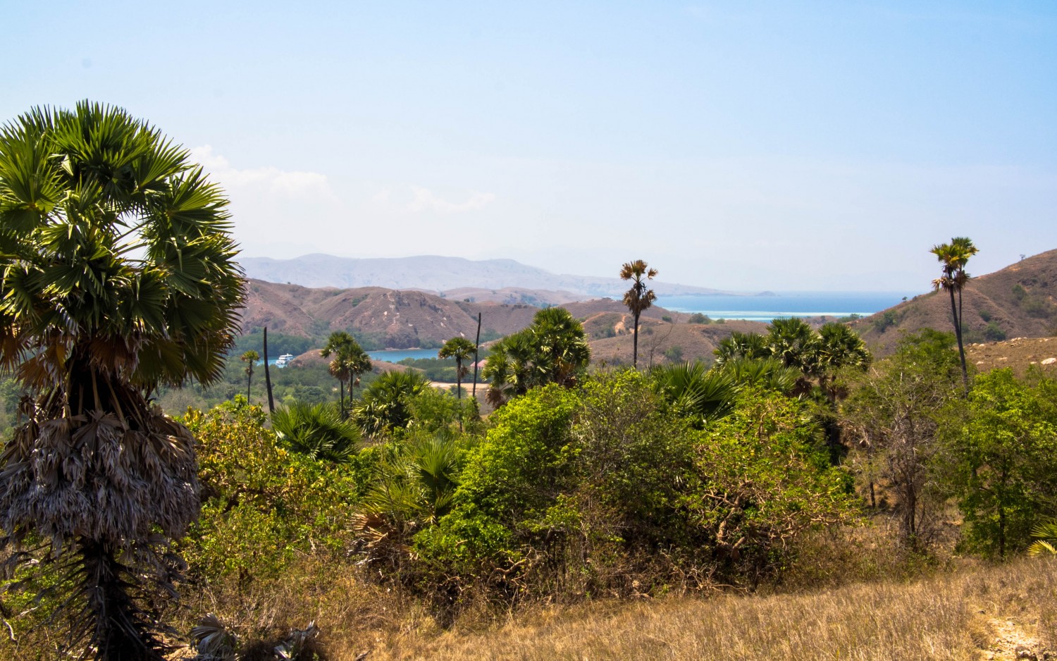 Trekking Komodo Rinca (13)