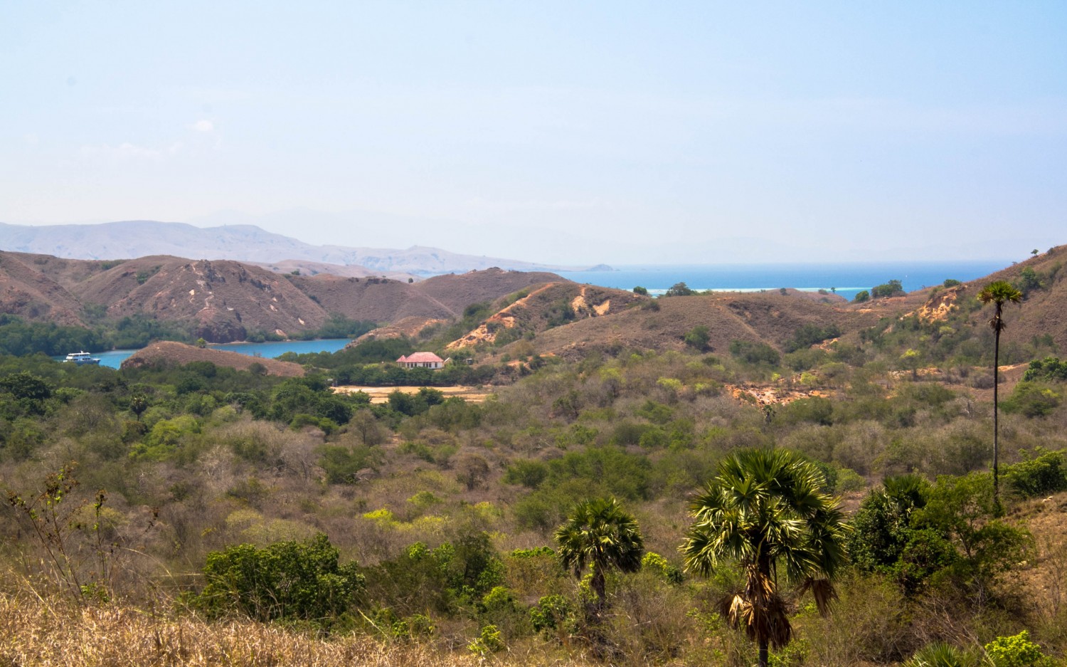 Trekking Komodo Rinca (14)