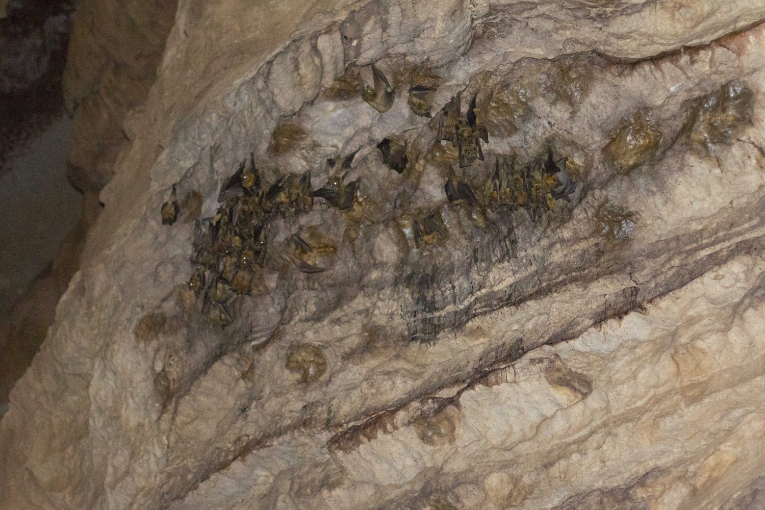 Ankarana caves Madagascar (2)