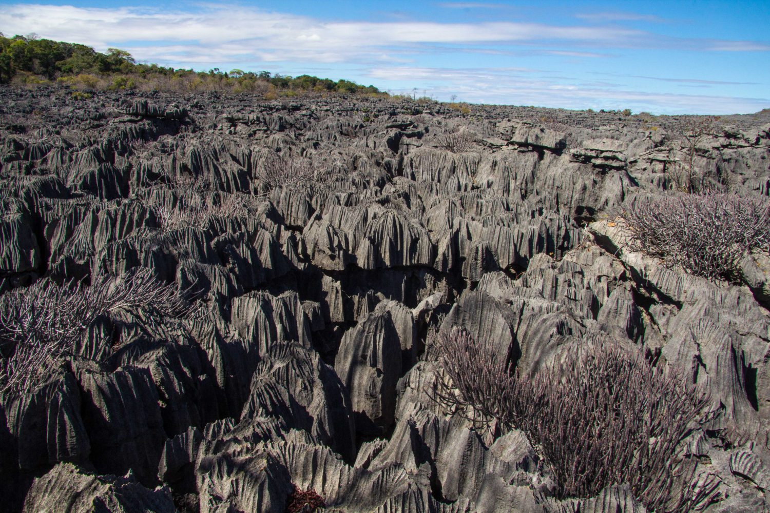 Ankarana Parc Madagascar (3)